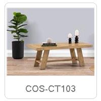 COS-CT103